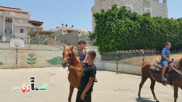 كفرقاسم - فيديو  : تعليم هواية ركوب الخيل في مدرسة جنة ابن رشد في اليوم الرابع لصيف الصادقة 